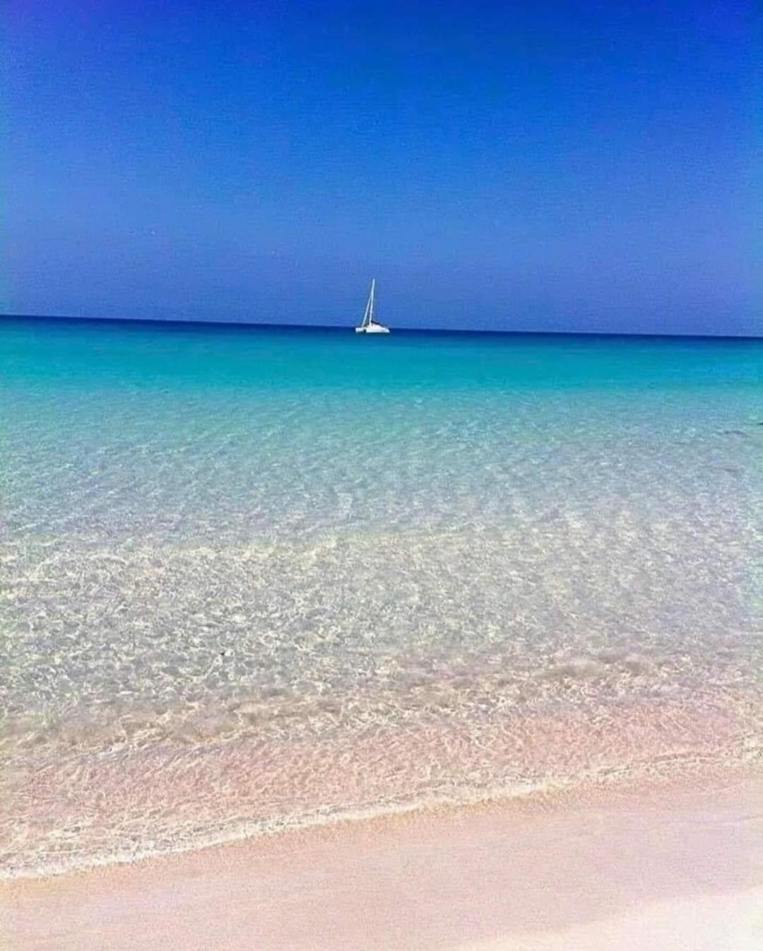 La Mimosa Case Vacanze Marsala Exterior foto